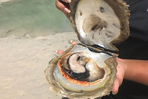 Willie Creek Pearl Farm Tour From Broome - Accommodation Fremantle 6