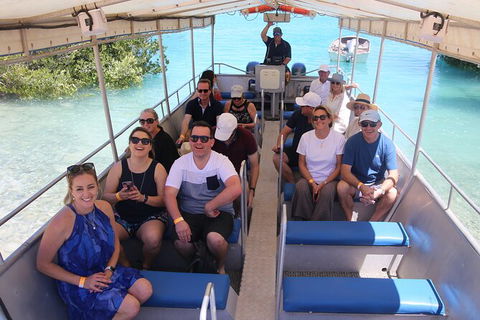 Willie Creek Pearl Farm Tour From Broome - Accommodation Fremantle 3
