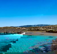 Rottnest Island Roundtrip Fast Ferry from Hillarys Boat Harbour - Accommodation Fremantle
