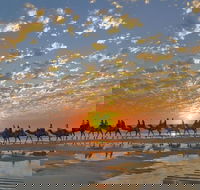 Broome City Sightseeing Tour with Optional Camel Ride - Accommodation Fremantle