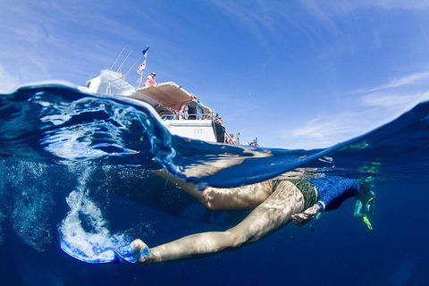 VIP Luxury Chartered Escapes, Exploring The Reef At Your Own Pace - Accommodation Fremantle 40