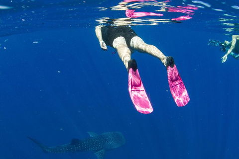 VIP Luxury Chartered Escapes, Exploring The Reef At Your Own Pace - Accommodation Fremantle 49