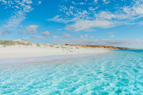 VIP Luxury Chartered Escapes, Exploring The Reef At Your Own Pace - Accommodation Fremantle 36