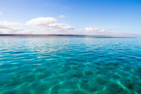 VIP Luxury Chartered Escapes, Exploring The Reef At Your Own Pace - Accommodation Fremantle 32