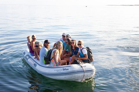 VIP Luxury Chartered Escapes, Exploring The Reef At Your Own Pace - Accommodation Fremantle 43