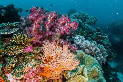 VIP Luxury Chartered Escapes, Exploring The Reef At Your Own Pace - Accommodation Fremantle 33