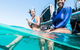 VIP Luxury Chartered Escapes, Exploring The Reef At Your Own Pace - thumb 24
