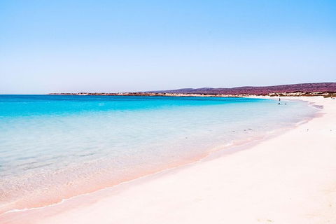 VIP Luxury Chartered Escapes, Exploring The Reef At Your Own Pace - Accommodation Fremantle 45