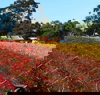 Swan Valley Wine Time Private Day Tour - Accommodation Fremantle