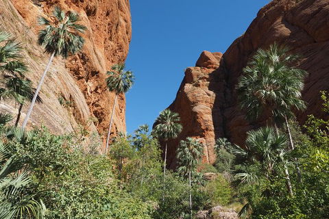 13-Day Kimberley Walking Tour Including Spectacular Gorges The Gibb River Road And The Bungle Bungles - Accommodation Fremantle 6