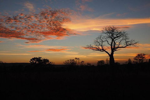 13-Day Kimberley Walking Tour Including Spectacular Gorges The Gibb River Road And The Bungle Bungles - Accommodation Fremantle 4