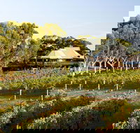 Margaret River and Geographe Bay Region Day Trip from Perth - Accommodation Fremantle