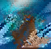 Rottnest Island Tandem Skydive - Accommodation Fremantle