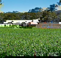 Upper Reach Winery Swan Valley Winery and Vineyard Tour - Accommodation Fremantle