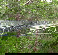 Albany Southwest Wilderness Day Tour - Fly From Perth - Accommodation Fremantle