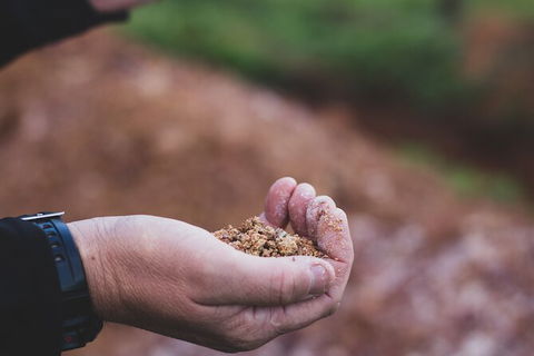 Vasse Felix Epicurean Tour And Tasting Experience With 5 Course Lunch - Accommodation Fremantle 8