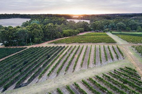 Vasse Felix Epicurean Tour And Tasting Experience With 5 Course Lunch - Accommodation Fremantle 7