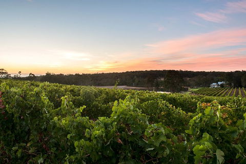 Margaret River Indulge And Discover Day Tour - Accommodation Fremantle 5