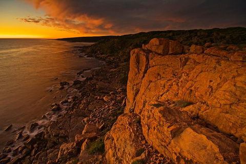 Margaret River Indulge And Discover Day Tour - Accommodation Fremantle 13