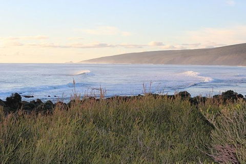 Margaret River Indulge And Discover Day Tour - Accommodation Fremantle 6