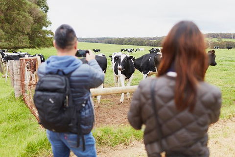 Margaret River Indulge And Discover Day Tour - Accommodation Fremantle 14