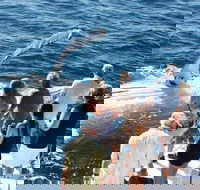 Half-Day Whale Watching Sunset Cruise from Broome - Accommodation Fremantle