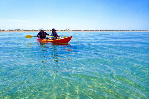 Turtle Tour - Ningaloo Reef Half Day Sea Kayak And Snorkel Tour - Accommodation Fremantle 0