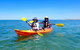 Turtle Tour - Ningaloo Reef Half Day Sea Kayak And Snorkel Tour - thumb 7