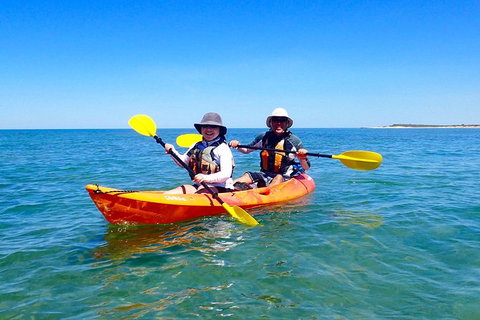 Turtle Tour - Ningaloo Reef Half Day Sea Kayak And Snorkel Tour - Accommodation Fremantle 7