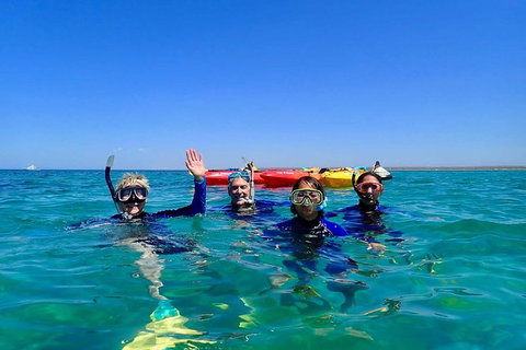Turtle Tour - Ningaloo Reef Half Day Sea Kayak And Snorkel Tour - Accommodation Fremantle 9