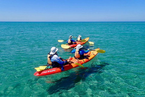 Turtle Tour - Ningaloo Reef Half Day Sea Kayak And Snorkel Tour - Accommodation Fremantle 6
