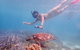 Turtle Tour - Ningaloo Reef Half Day Sea Kayak And Snorkel Tour - thumb 8