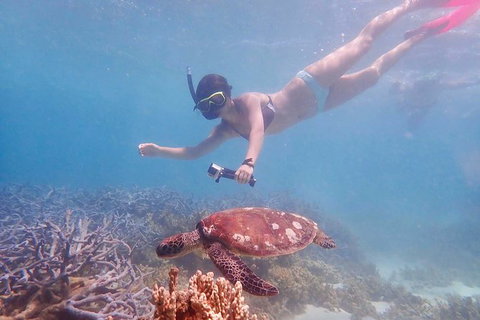 Turtle Tour - Ningaloo Reef Half Day Sea Kayak And Snorkel Tour - Accommodation Fremantle 8