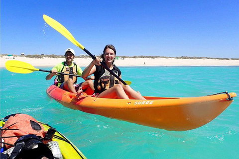 Turtle Tour - Ningaloo Reef Half Day Sea Kayak And Snorkel Tour - Accommodation Fremantle 3