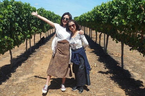 VIP Swan Valley Wine Tour - Premium Small Group Wine & Gourmet Experience - Accommodation Fremantle 3