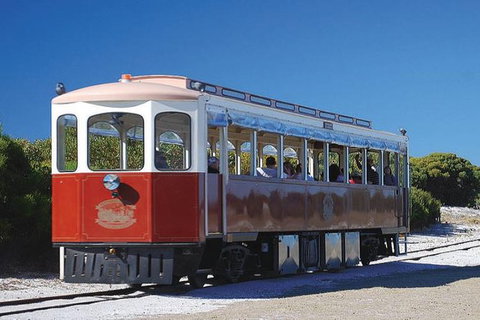 Rottnest Island Oliver Hill Train & Tunnel Tour - Accommodation Fremantle 0