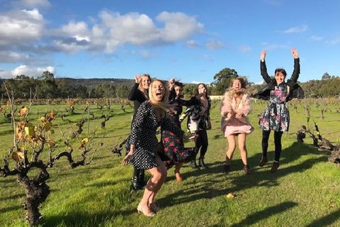 VW Kombi Food, Wine And More Tour (bring The Kids!) - Accommodation Fremantle 3