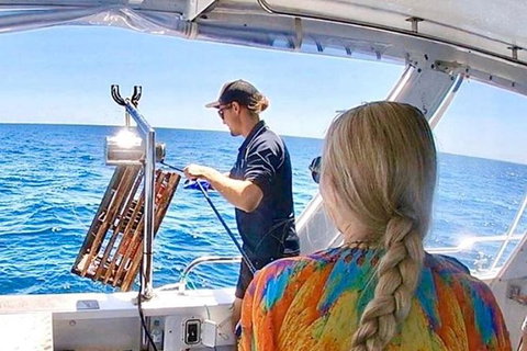 Rottnest Island 5-Course Deluxe Seafood Banquet Cruise - Accommodation Fremantle 20