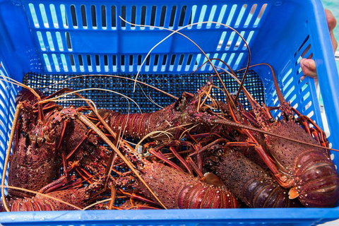 Rottnest Island 5-Course Deluxe Seafood Banquet Cruise - Accommodation Fremantle 3