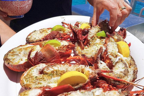 Rottnest Island 5-Course Deluxe Seafood Banquet Cruise - Accommodation Fremantle 2