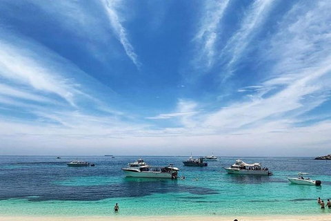 Rottnest Island 5-Course Deluxe Seafood Banquet Cruise - Accommodation Fremantle 7