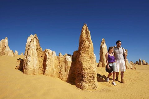 Half Day Pinnacles Sunset Tour - Accommodation Fremantle 7