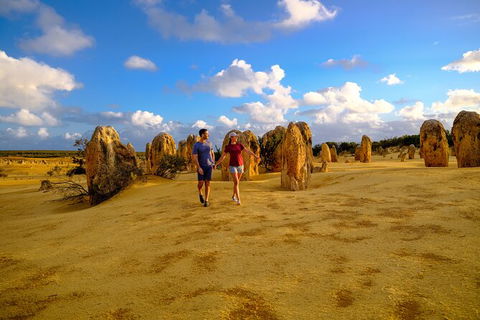 Half Day Pinnacles Sunset Tour - Accommodation Fremantle 3