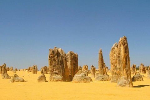 Half Day Pinnacles Sunset Tour - Accommodation Fremantle 6