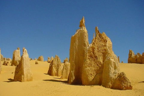Half Day Pinnacles Sunset Tour - Accommodation Fremantle 5