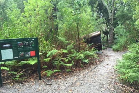 Wilsons Promontory Walking And Sightseeing Tour From Phillip Island - Accommodation Fremantle 1