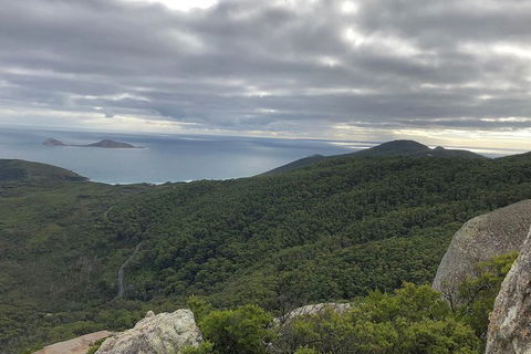 Wilsons Promontory Walking And Sightseeing Tour From Phillip Island - Accommodation Fremantle 5