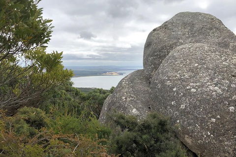 Wilsons Promontory Walking And Sightseeing Tour From Phillip Island - Accommodation Fremantle 15
