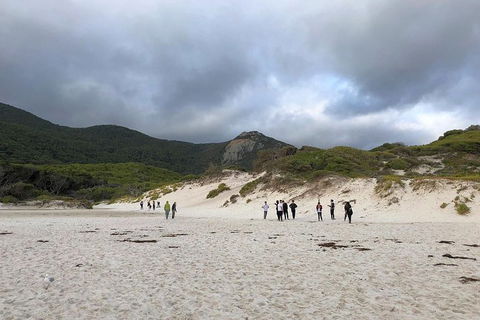 Wilsons Promontory Walking And Sightseeing Tour From Phillip Island - Accommodation Fremantle 4