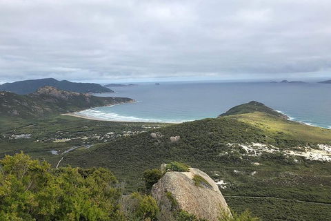 Wilsons Promontory Walking And Sightseeing Tour From Phillip Island - Accommodation Fremantle 12